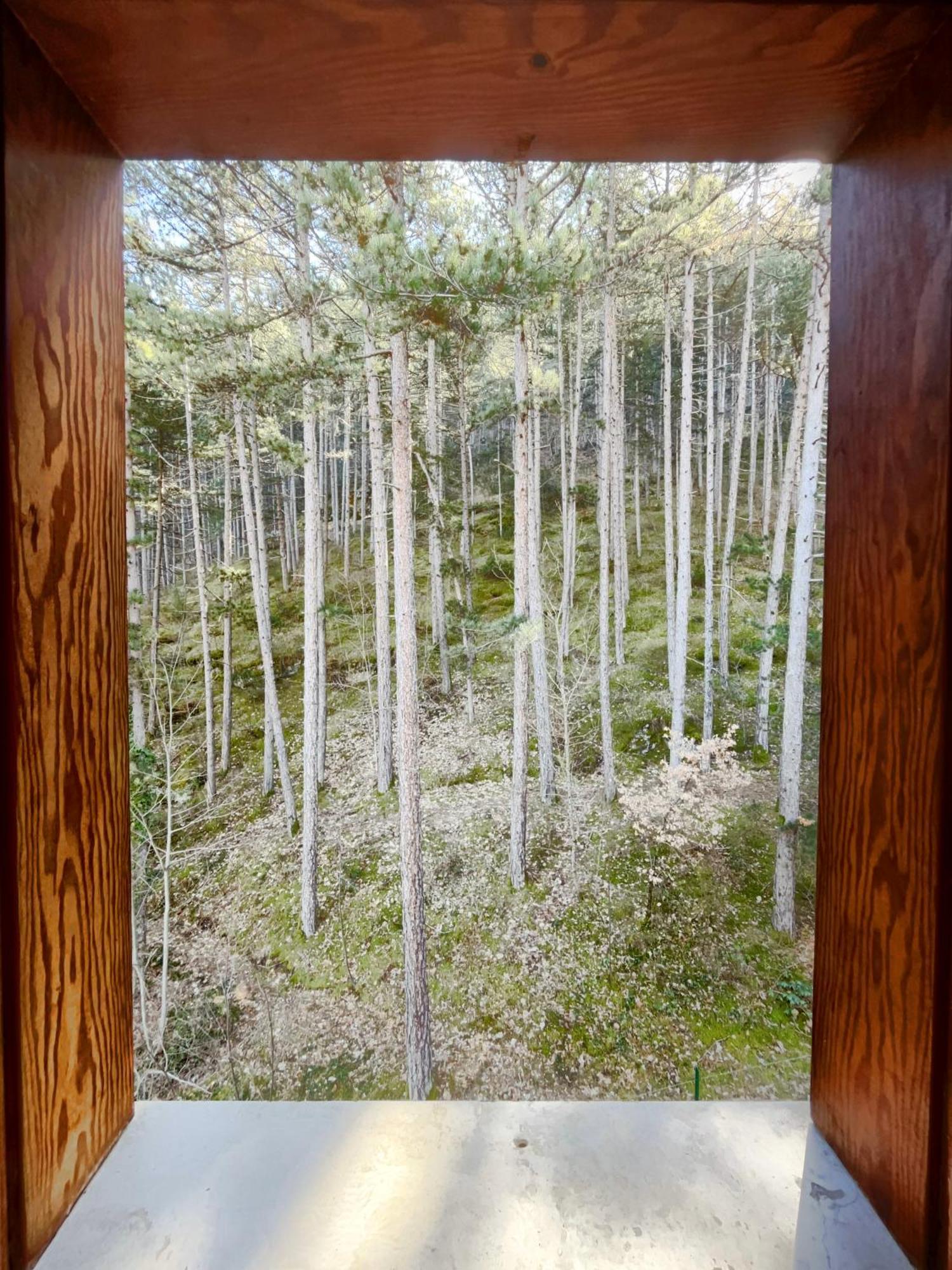 Hotel Garni Mille Pini Сканно Екстер'єр фото